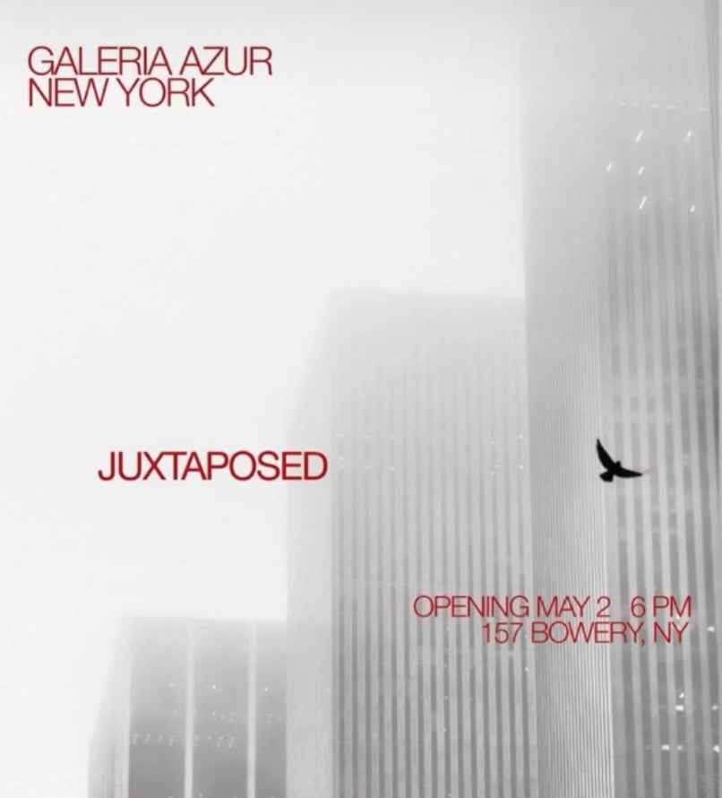 COLLECTIVE EXHIBITIONS: JUSTAPOSED & COLORIS